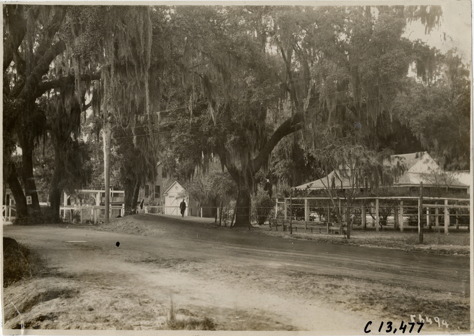 Man walking on side of road, 1908 Grand Prize races