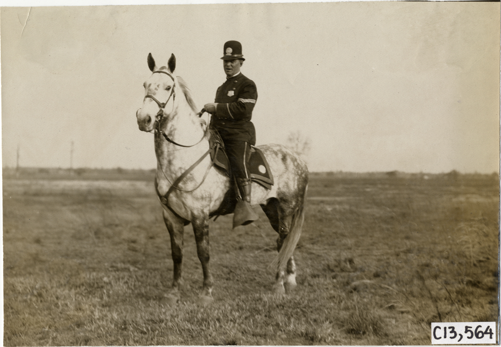 Policeman on horseback, 1908 Grand Prize races