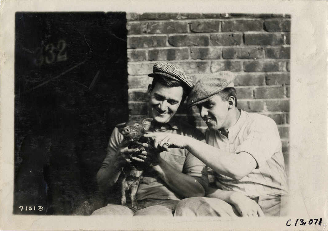Two men with piglet, 1911 Fairmount Park races