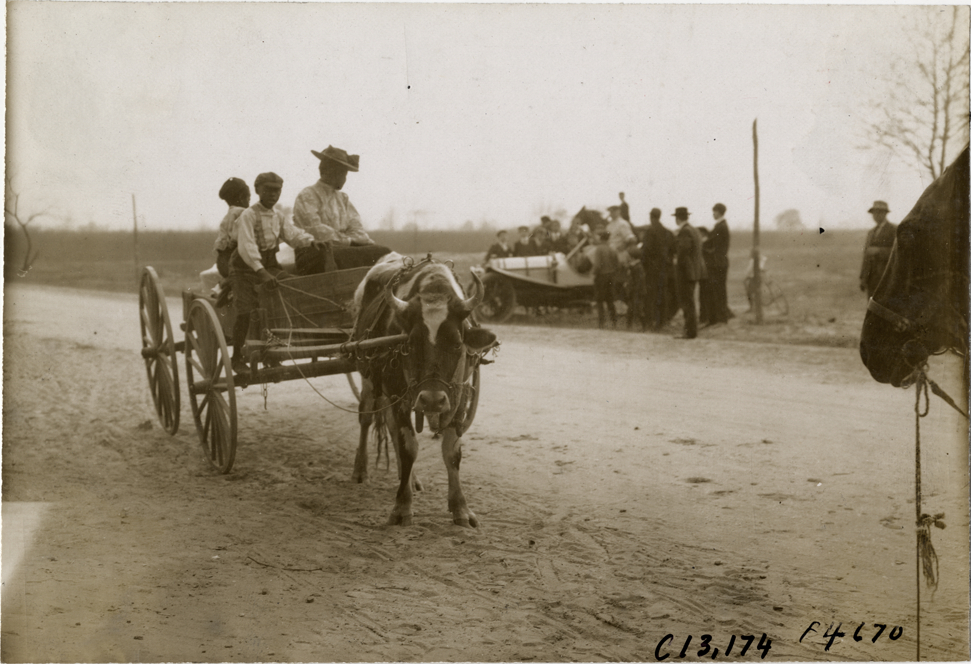Woman and two boys driving oxcart, 1908 Grand Prize races