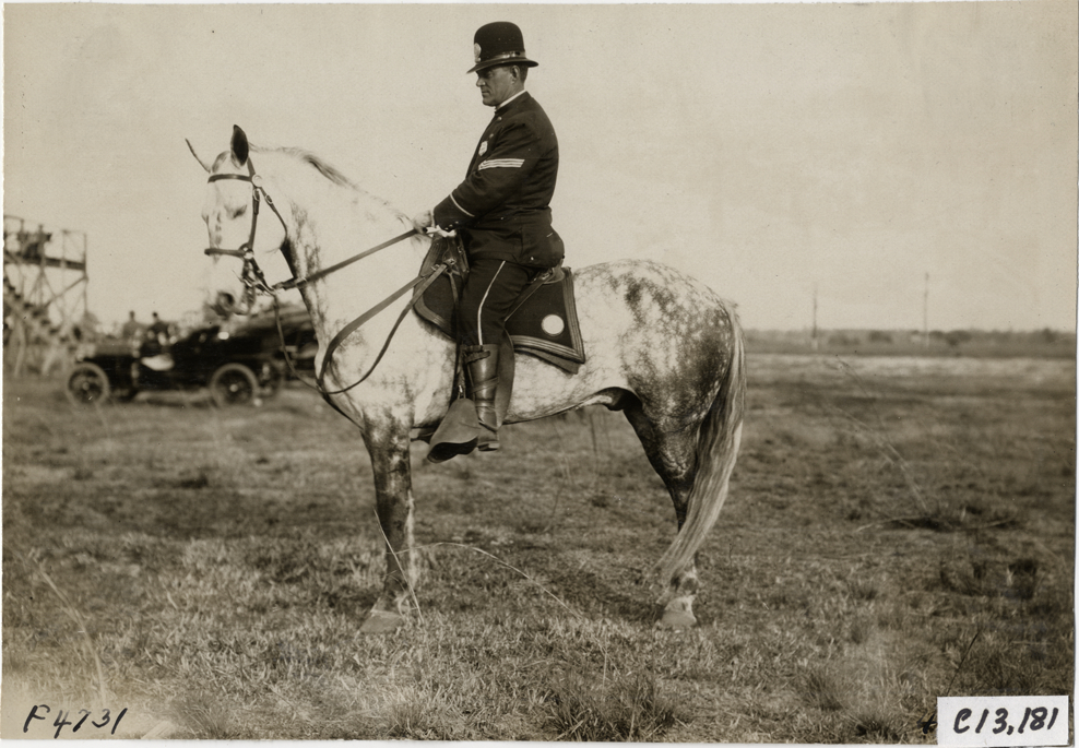 Policeman on horseback, 1908 Grand Prize races