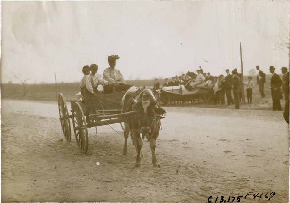 Woman and two boys driving oxcart, 1908 Grand Prize races
