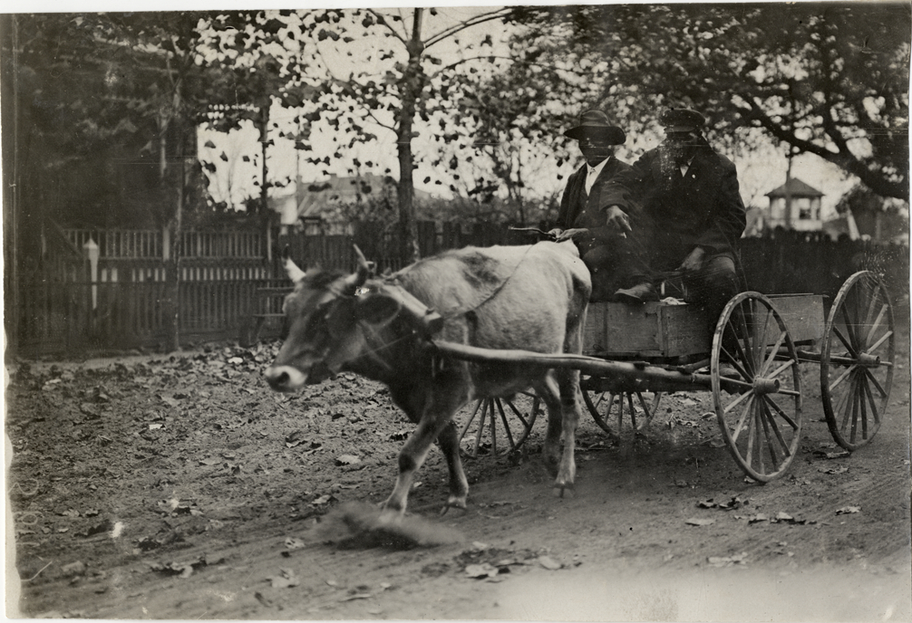 Two men driving oxcart, 1908 Grand Prize races