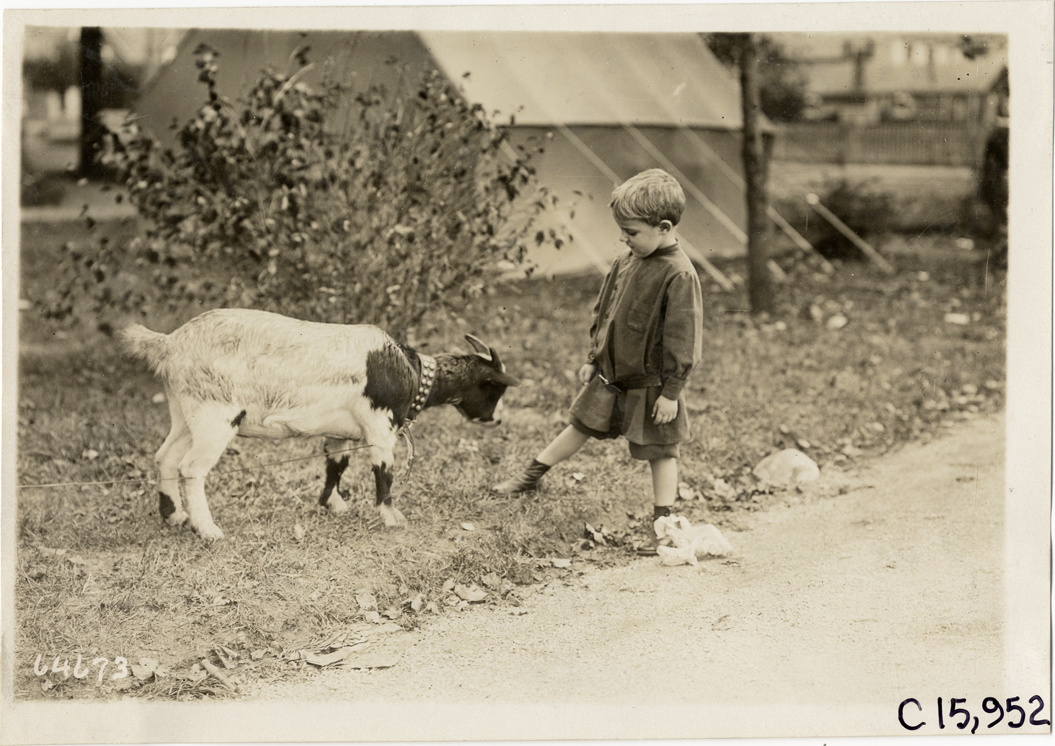 Boy and goat, 1910 Vanderbilt Cup races