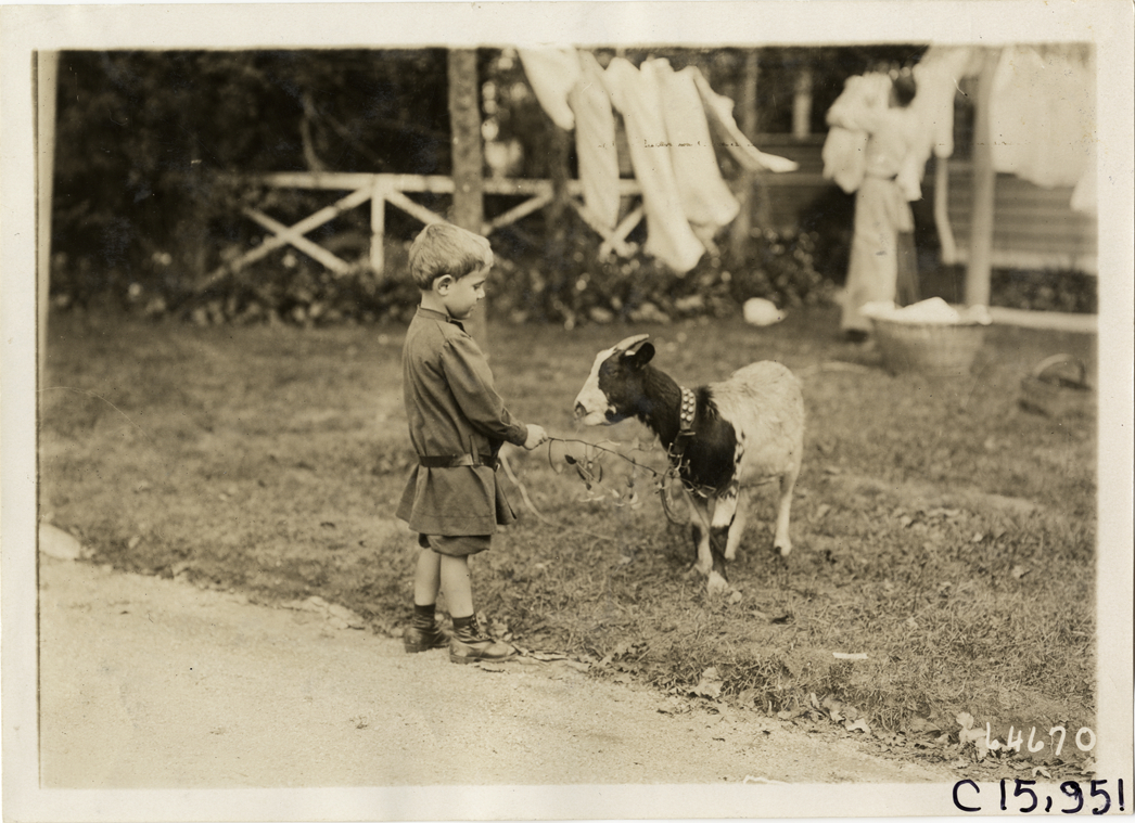 Boy and goat, 1910 Vanderbilt Cup races
