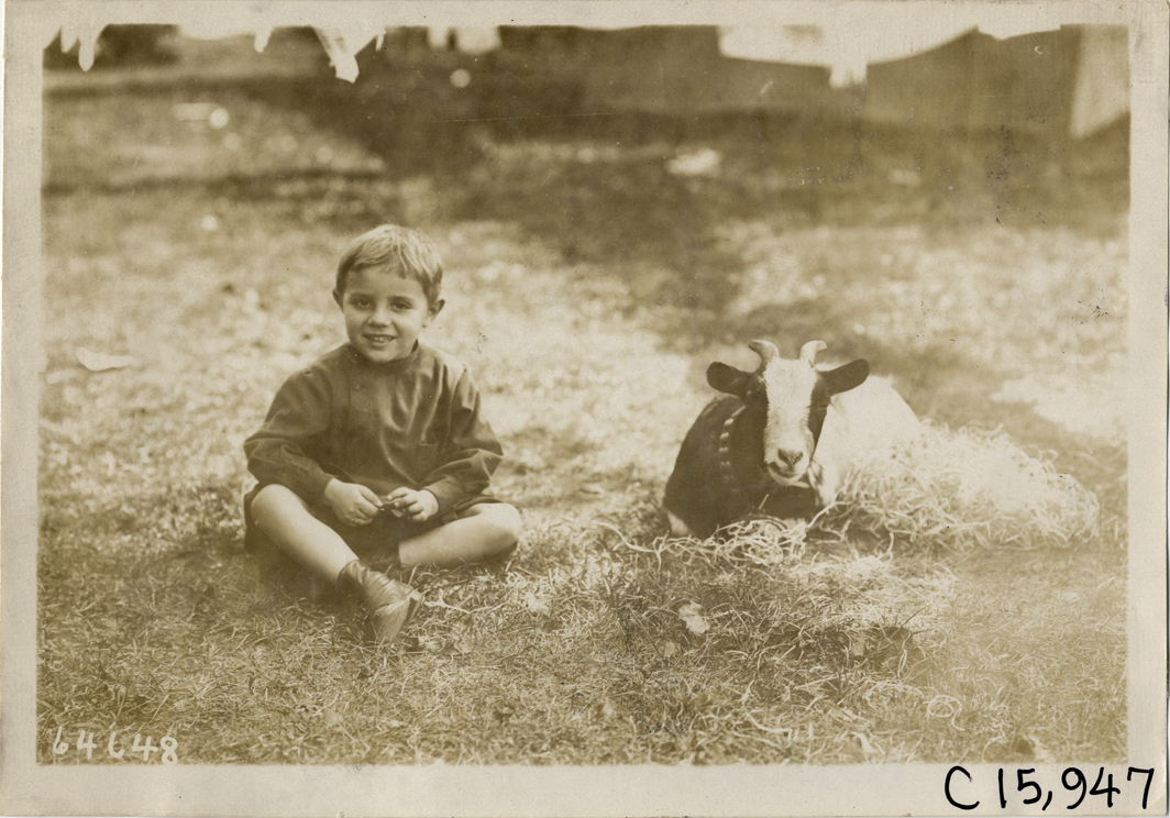 Boy and goat, 1910 Vanderbilt Cup races