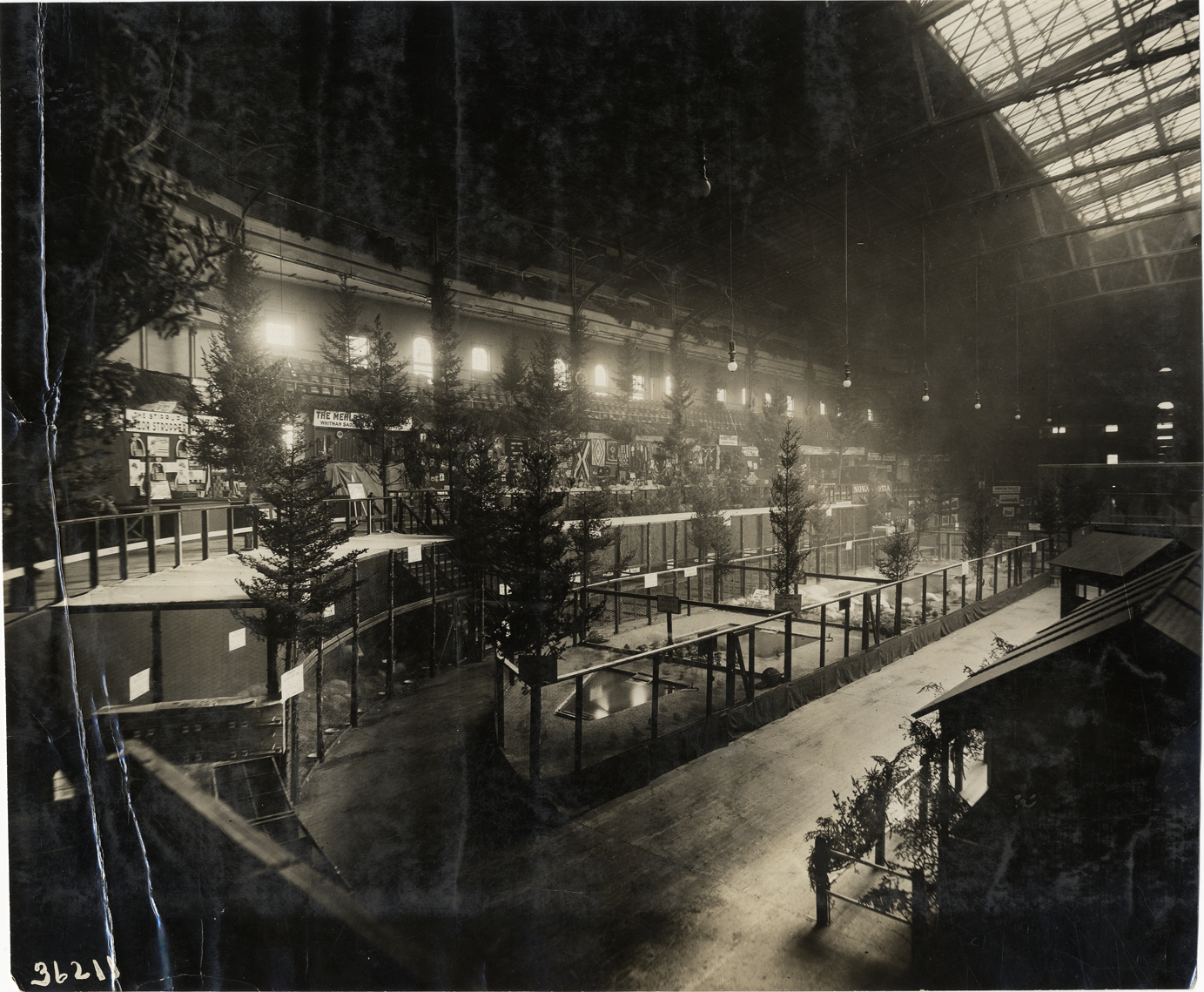 Waterfowl exhibit, 1909 Sportsman's Show