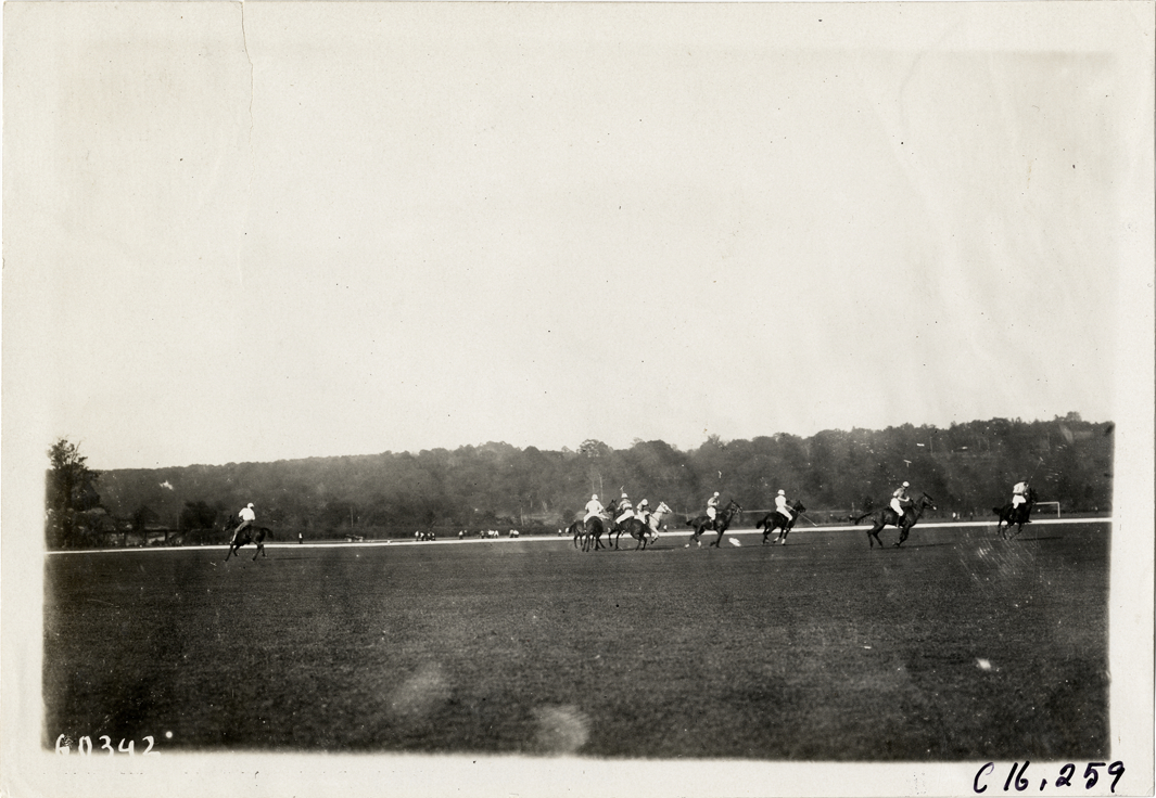 Polo match
