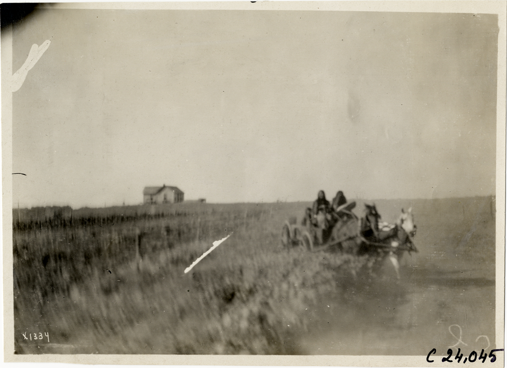 Horse-drawn wagon in field, 1910 Glidden Tour
