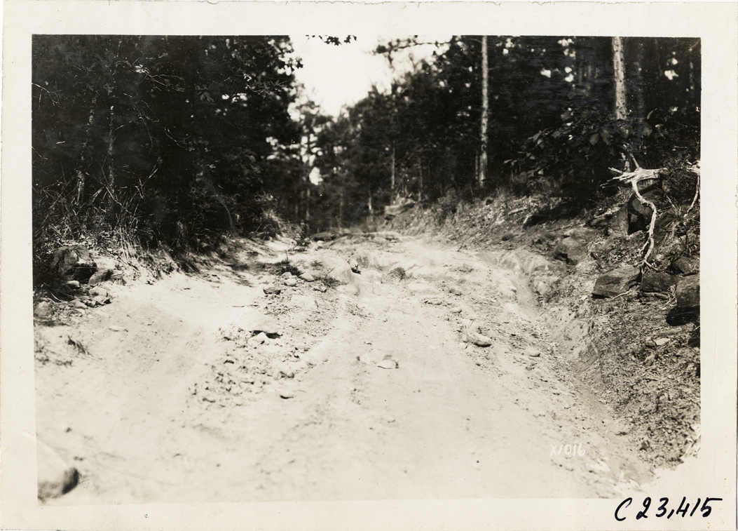 Dirt road in forest, 1910 Glidden Tour