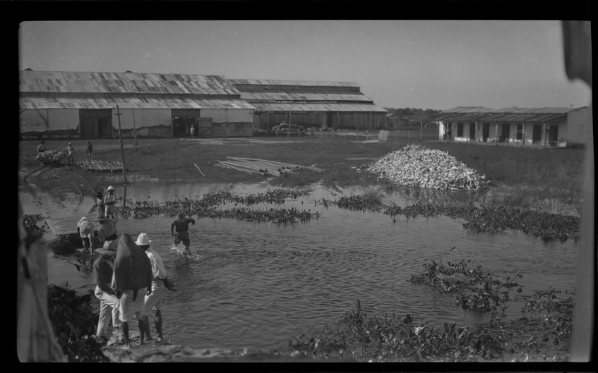 Slaughterhouses at Descalvados Ranch