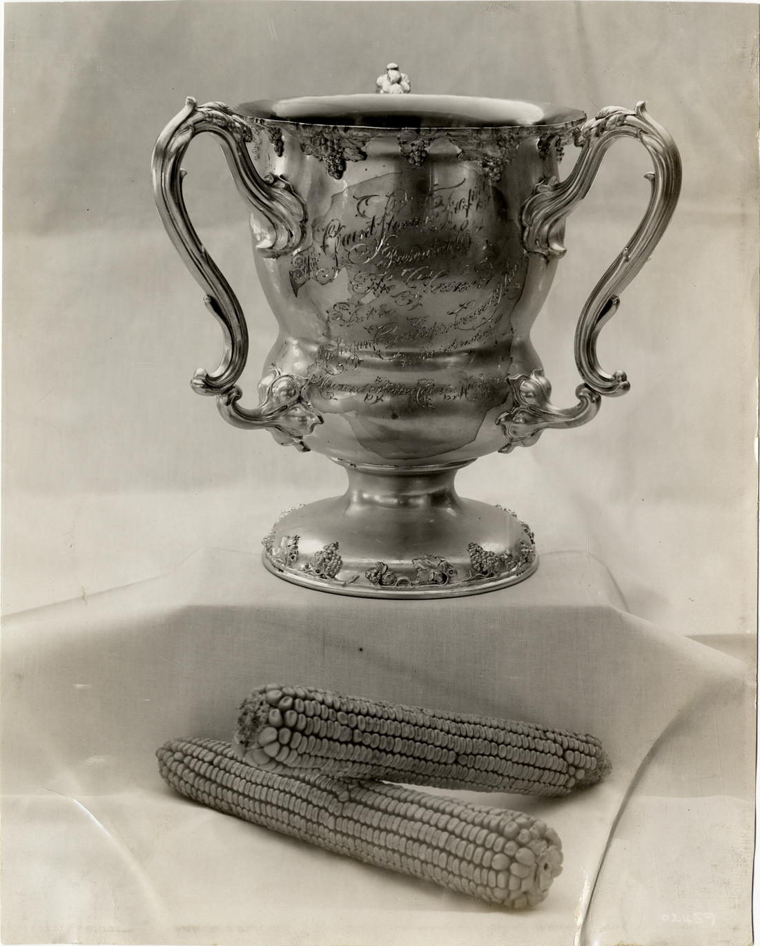 Trophy cup