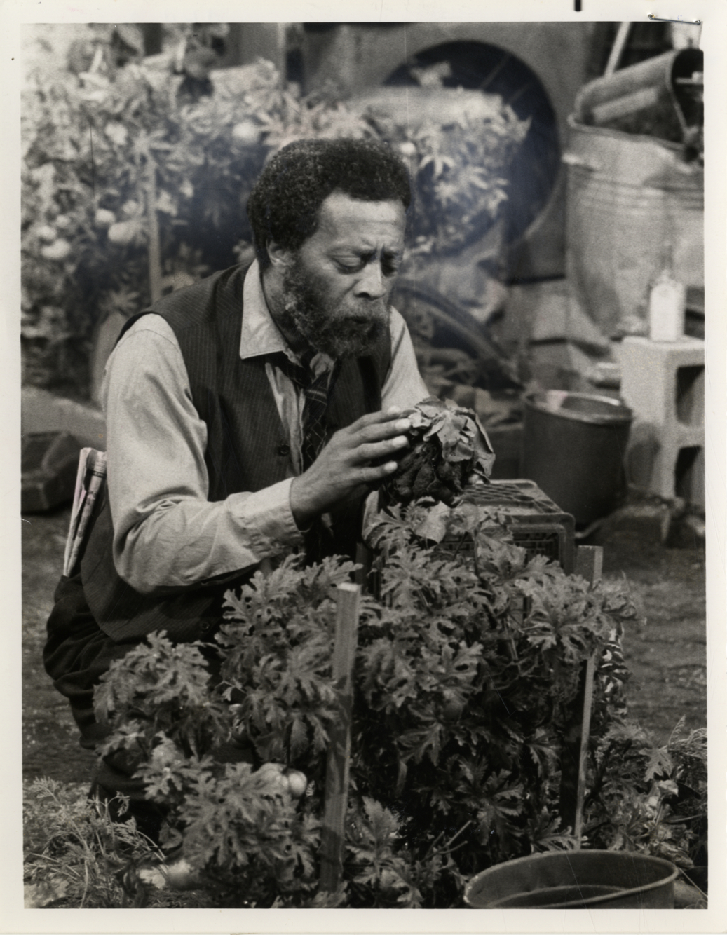 Whitman Mayo