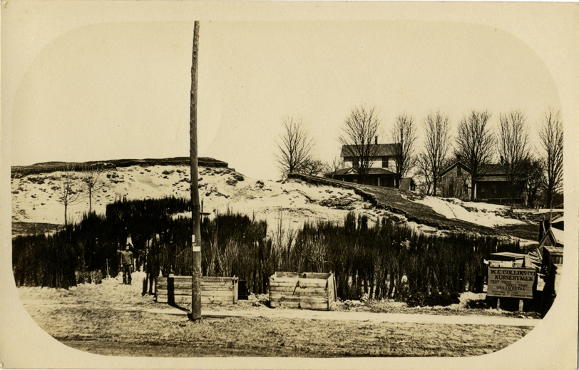 W.E. Collins Company Nursery, Fennville, Michigan