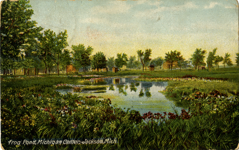 Frog pond, Jackson, Michigan