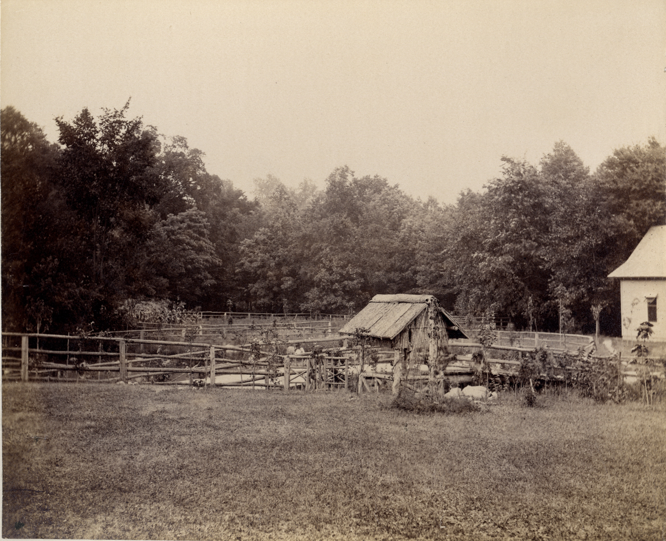 Well house, Palmer Park