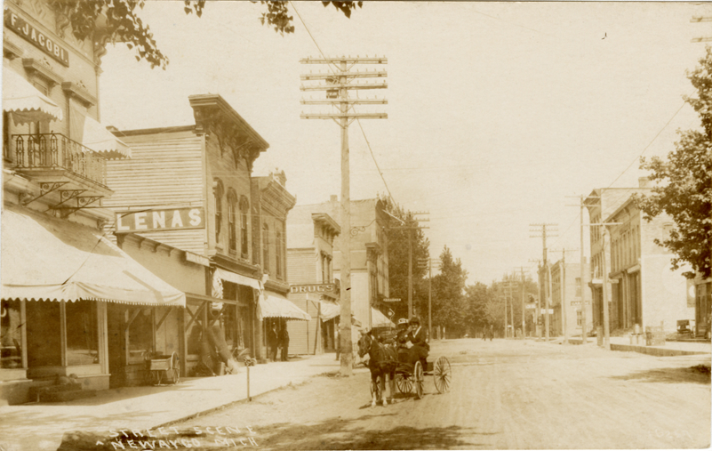 Horse-drawn carriage on street, Newaygo, Michigan