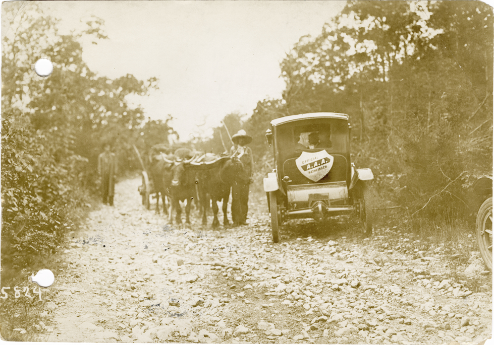 Flanders automobile passing team of oxen, 1912 Glidden pathfinding expedition