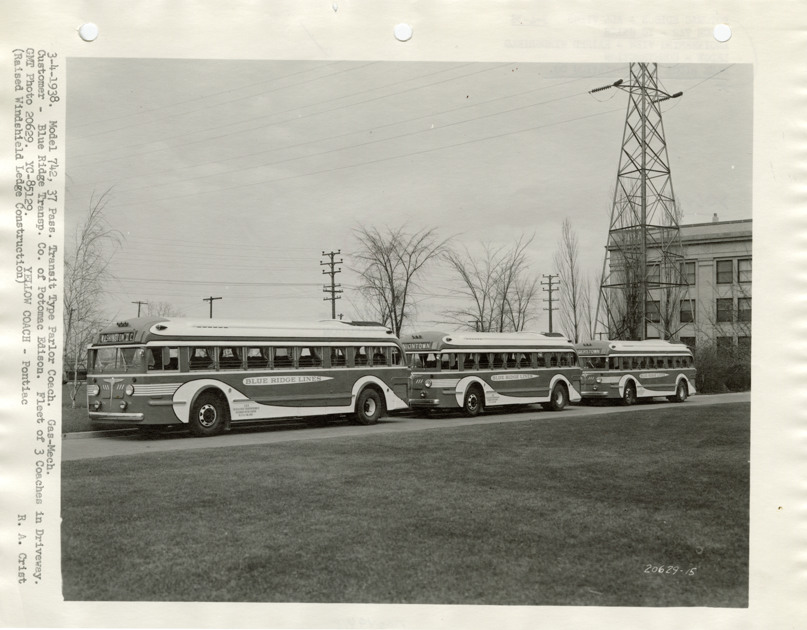 Yellow Truck and Coach buses, Blue Ridge Lines