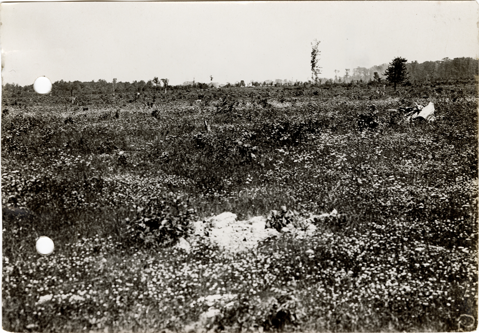 Site for Detroit Speedway