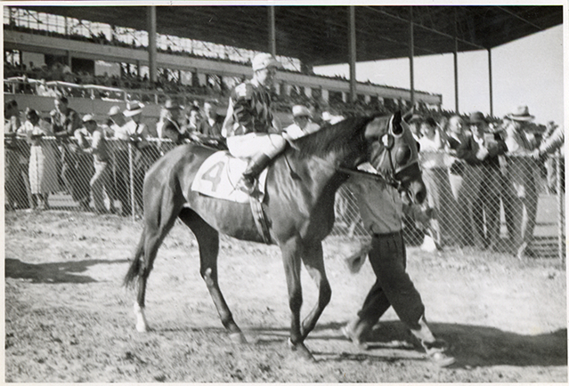 Jockey riding horse from paddock on way to track, Michigan Racing Association racetrack