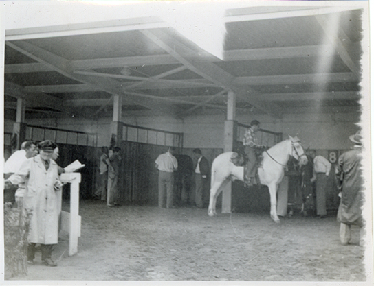 Groom on palomino horse in stable, Michigan Racing Association racetrack