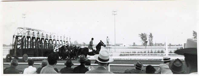 Horse race, Hazel Park Raceway