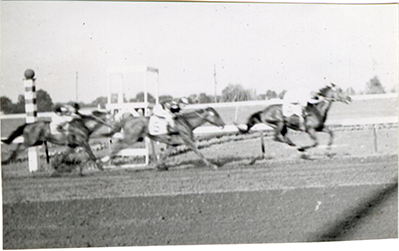 Horse race, Hazel Park Raceway