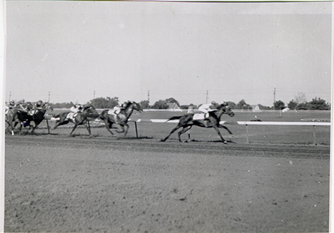Horse race, Hazel Park Raceway