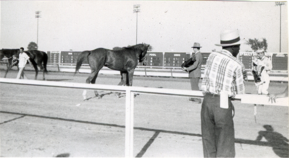 Winning horse, Michigan Racing Association racetrack