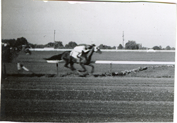 Winning horses, Hazel Park Raceway