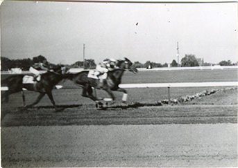 Winning horses, Hazel Park Raceway