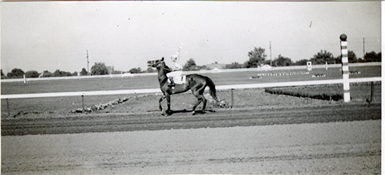 Jockey riding winning horse, Hazel Park Raceway