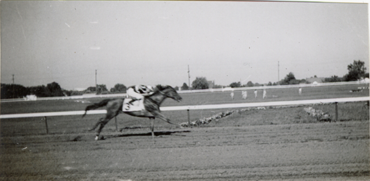 Jockey riding winning horse, Hazel Park Raceway