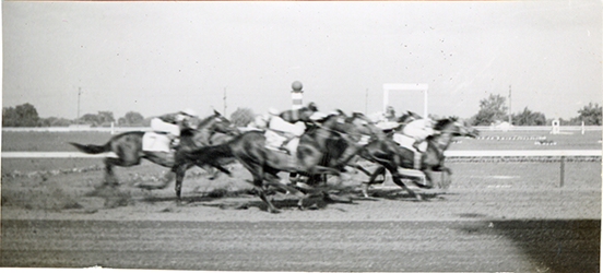 Horse race, Hazel Park Raceway