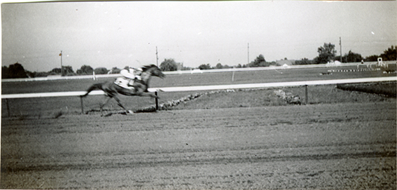 Winning horse, Hazel Park Raceway