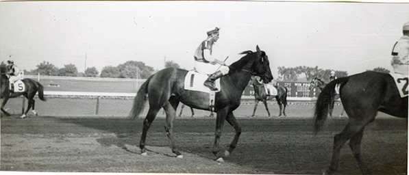 Jockeys walking horses on track, Hazel Park Raceway