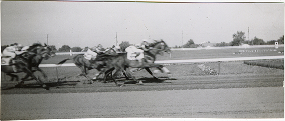 Horse race, Hazel Park Raceway
