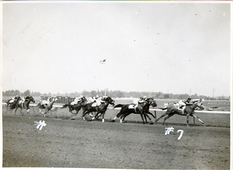 Horse race, Hazel Park Raceway