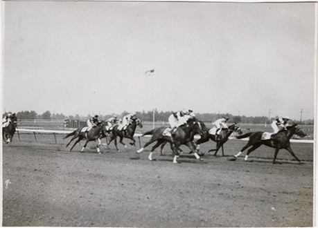 Horse race, Hazel Park Raceway