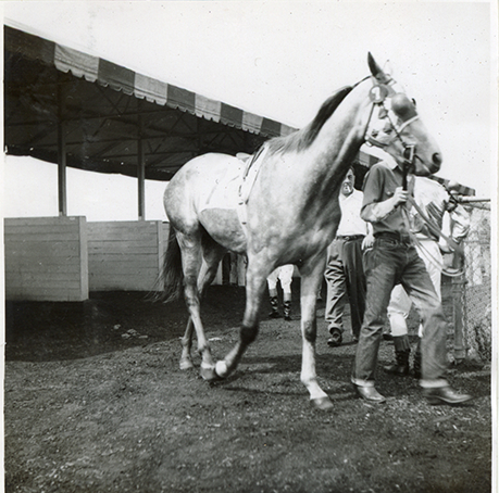 Groom leading horse "Sultanpepper," Hazel Park Raceway
