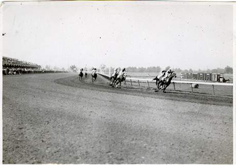 Horse race, Hazel Park Raceway