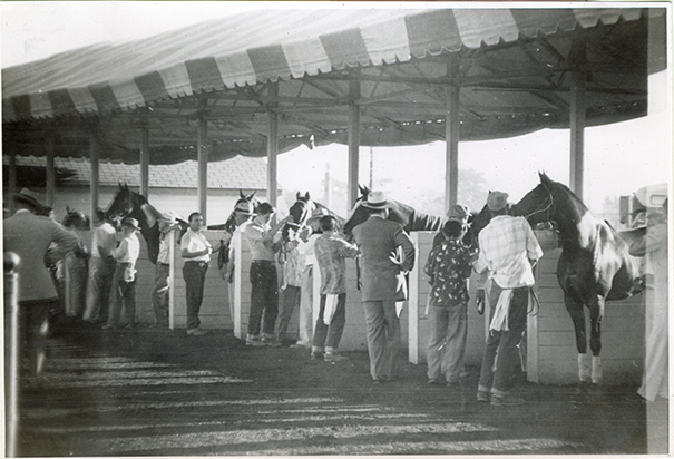 Grooms with horses in paddock, Hazel Park Raceway