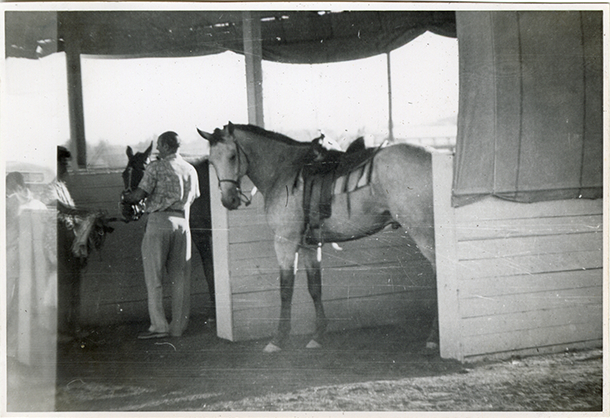 Grooms with horses in paddock, Hazel Park Raceway