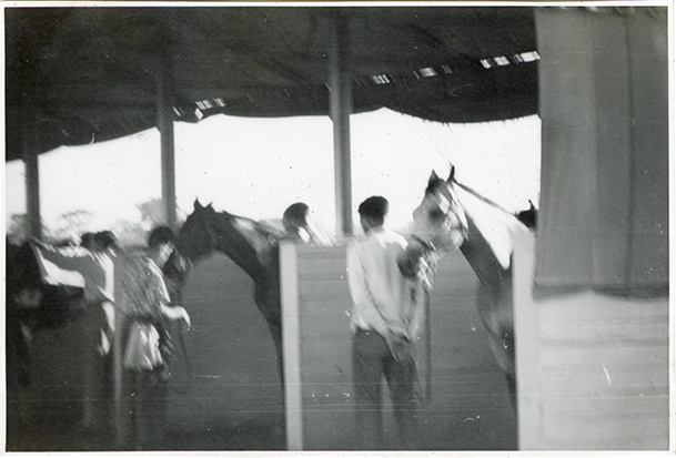 Grooms with horses in paddock, Hazel Park Raceway