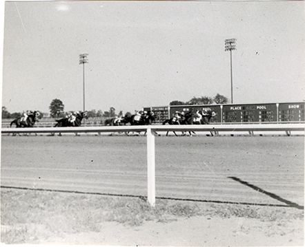 Horse race, Michigan Racing Association racetrack