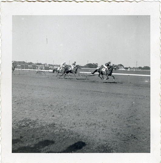 Horse race, Hazel Park Raceway