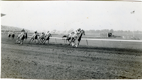 Horse race, Hazel Park Raceway