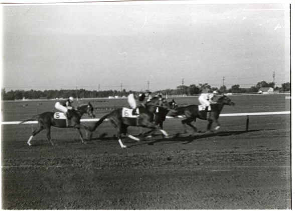 Horse race, Hazel Park Raceway