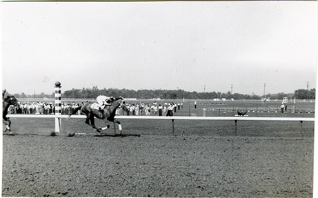 Jockey riding horse "Blue Miss" in race, Hazel Park Raceway